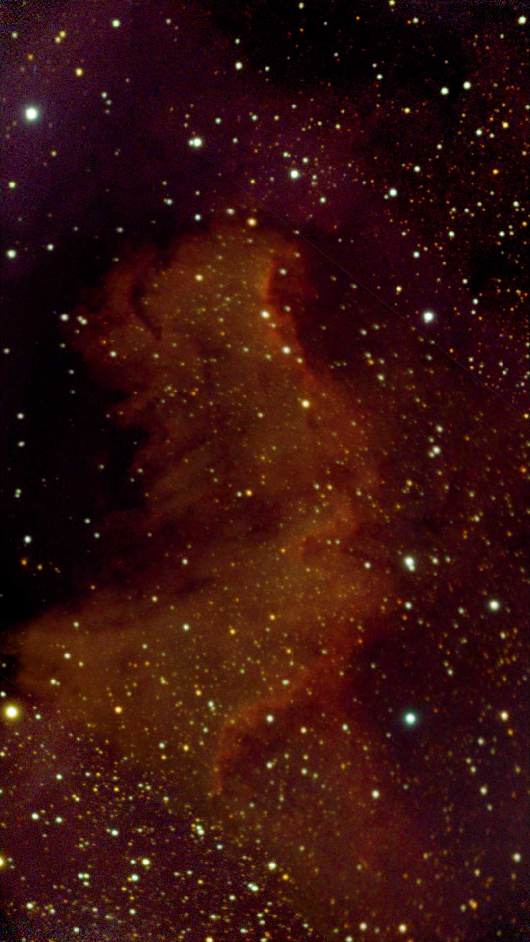 NGC 7000.jpg